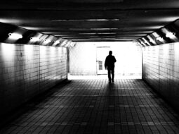 Practical Steps for Personal and Professional Growth in Everyday Life